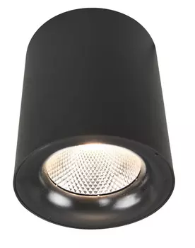 Накладной светильник Arte Lamp Facile A5118PL-1BK