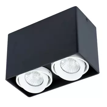 Накладной светильник Arte Lamp Pictor A5655PL-2BK