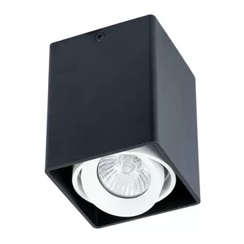 Накладной светильник Arte Lamp Pictor A5655PL-1BK