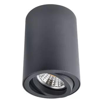 Накладной светильник Arte Lamp Sentry A1560PL-1BK