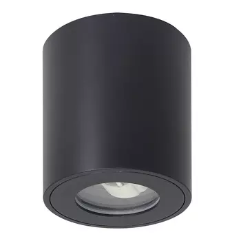 Накладной светильник Arte Lamp Tino A1469PL-1BK
