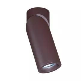 Накладной светильник Crystal Lux Clt 030 CLT 030C BR_V2