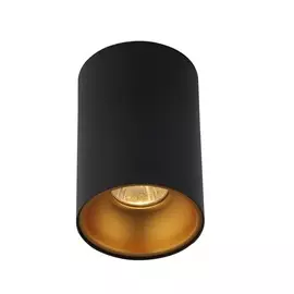 Накладной светильник Crystal Lux Clt 411 CLT 411C BL-GO