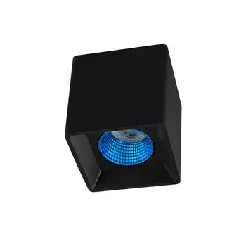 Накладной светильник Denkirs DK3030 DK3080-BK+CY