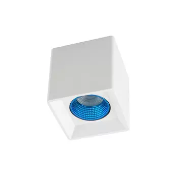 Накладной светильник Denkirs DK3030 DK3080-WH+CY