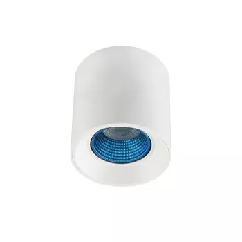 Накладной светильник Denkirs DK3040 DK3090-WH+CY