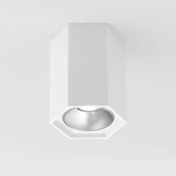 Накладной светильник Elektrostandard 25036/LED 25036/LED 7W 4200K белы