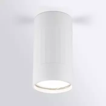 Накладной светильник Elektrostandard DLN111 GU10 белый