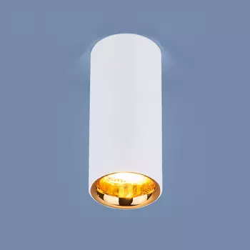 Накладной светильник Elektrostandard DLR030 DLR030 12W 4200K белый мат