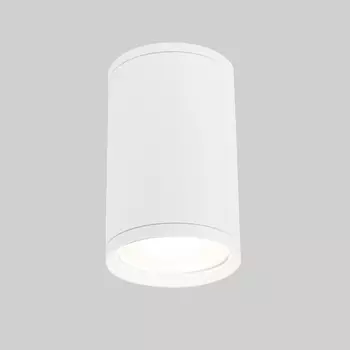 Накладной светильник Elektrostandard Light 2101 Light 2101 (35128/H) б