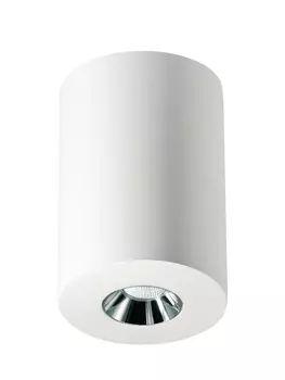 Накладной светильник Elvan 210067 NLS-210067-4.2W-WW-WhCh