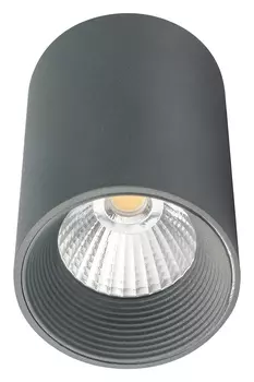 Накладной светильник Escada 20003 20003SMU/01LED SGY