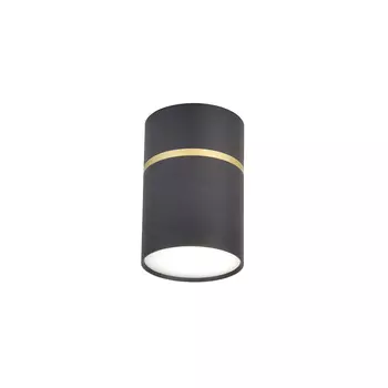 Накладной светильник Favourite Dunia 3068-1C