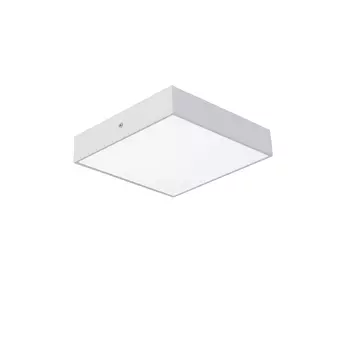 Светильник потолочный Favourite Flashled 2066-24C