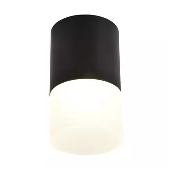 Накладной светильник Favourite Naram 3070-1C