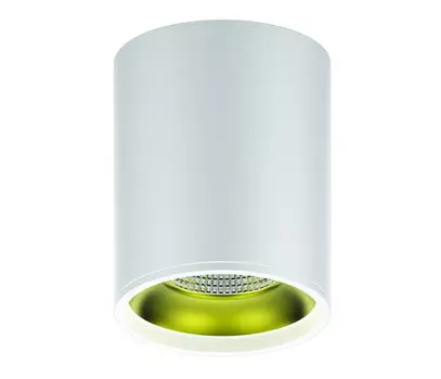 Накладной светильник Gauss Overhead HD010