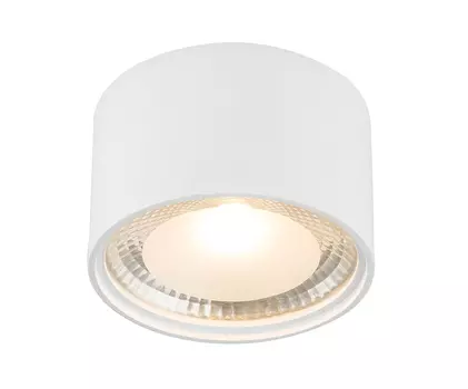 Накладной светильник Globo Serena 12007W