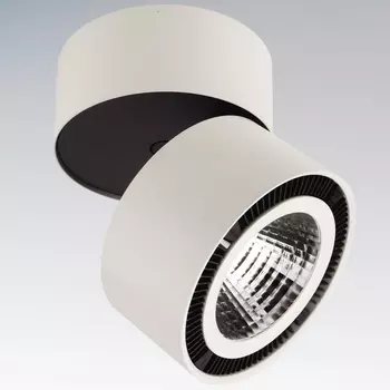 Накладной светильник Light Star Forte Muro 214810