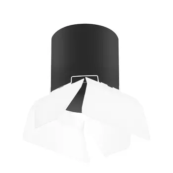 Накладной светильник Lightstar Rullo R3487486