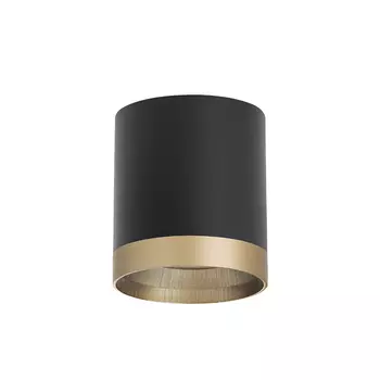 Накладной светильник Lightstar Rullo R348790