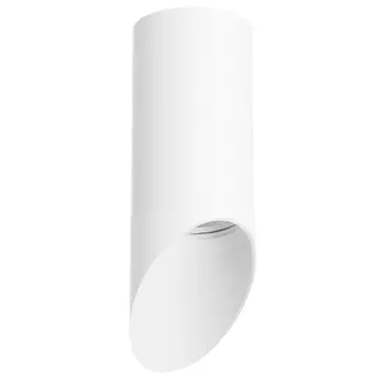 Накладной светильник Lightstar Rullo R43636