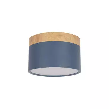 Накладной светильник Loft It Grape 10162 Blue