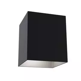 Накладной светильник Maytoni Alfa C015CL-01B