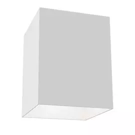 Накладной светильник Maytoni Alfa C015CL-01W