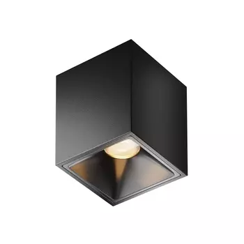 Накладной светильник Maytoni Alfa LED C065CL-8W3K-SQ-B