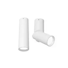 Накладной светильник Maytoni Dafne C027CL-L10W