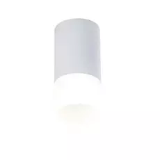 Накладной светильник Maytoni Pauline C007CW-01W