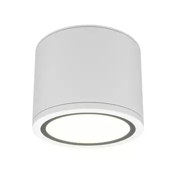 Накладной светильник Maytoni Rendo C095CL-GX53-W