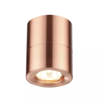 Накладной светильник Odeon Light Copperium 3586/1C