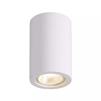 Накладной светильник Odeon Light Gesso 3553/1C