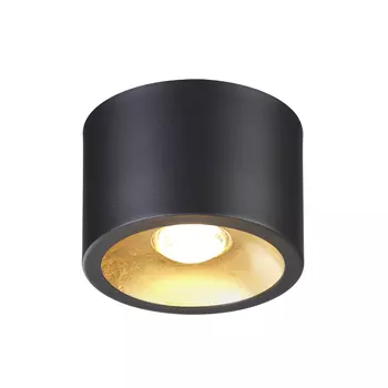 Накладной светильник Odeon Light Glasgow 3875/1CL