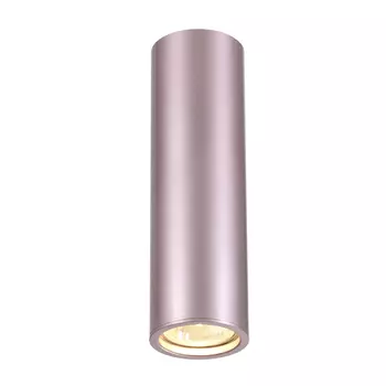 Накладной светильник Odeon Light Vincere 3829/1C