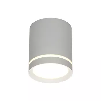 Накладной светильник Omnilux Capurso OML-102429-05