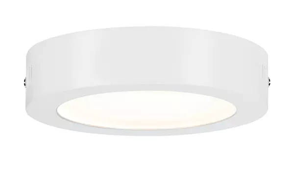 Светильник потолочный Paulmann 50082