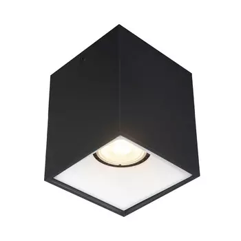 Накладной светильник ST Luce Накладные светильники ST168.452.01