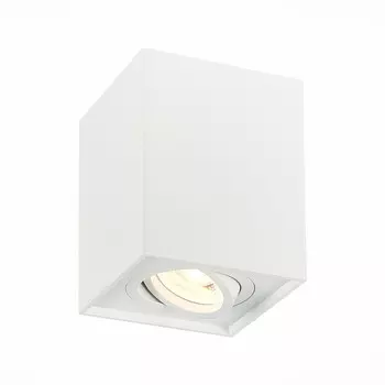 Накладной светильник ST Luce Quadrus ST109.507.01