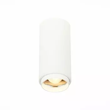 Накладной светильник ST Luce Zoom ST600.532.10