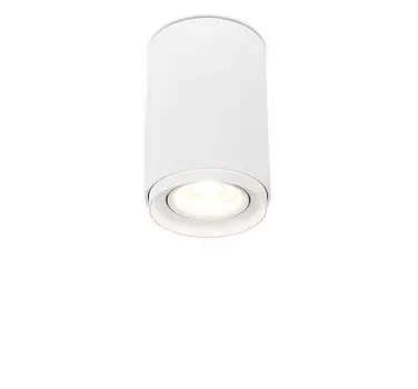 Накладной светильник Simple Story 2065 2065-1CLW