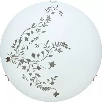 Настенно потолочный светильник Arte Lamp ORNAMENT A3820PL-2CC