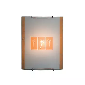 Настенно потолочный светильник Citilux 921 CL921041