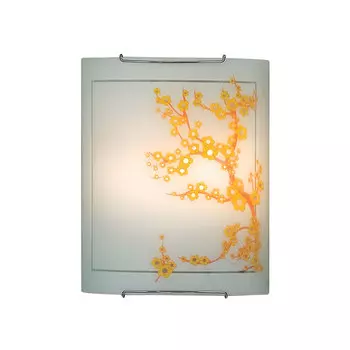 Настенно потолочный светильник Citilux 922 CL922141