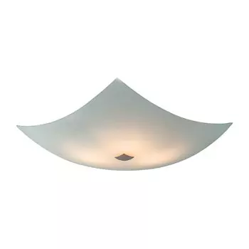Настенно потолочный светильник Citilux 931 CL931011