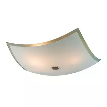 Настенно потолочный светильник Citilux 932 CL932021