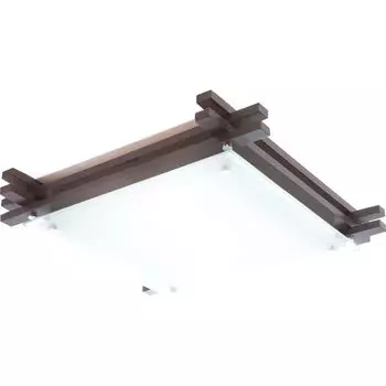 Настенно потолочный светильник Globo EDISON 48324-2