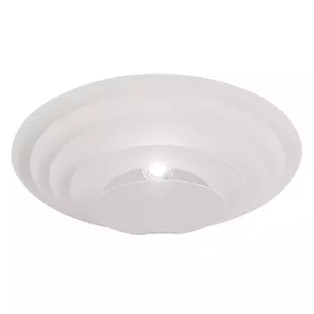 Настенно потолочный светильник ID lamp Charleston 355/1A-White