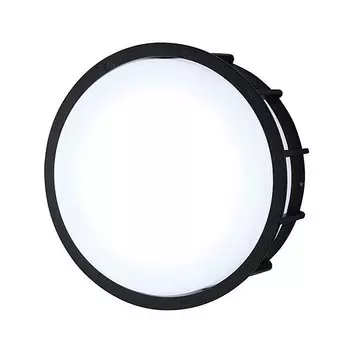 Настенно потолочный светильник L'Arte Luce TELMA L78055.31